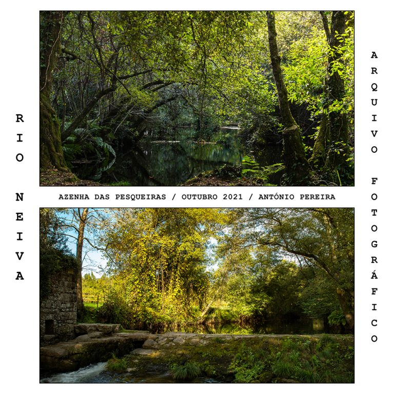 RIO_NEIVA_11_AZENHA_DAS_PESQUEIRAS_20211010