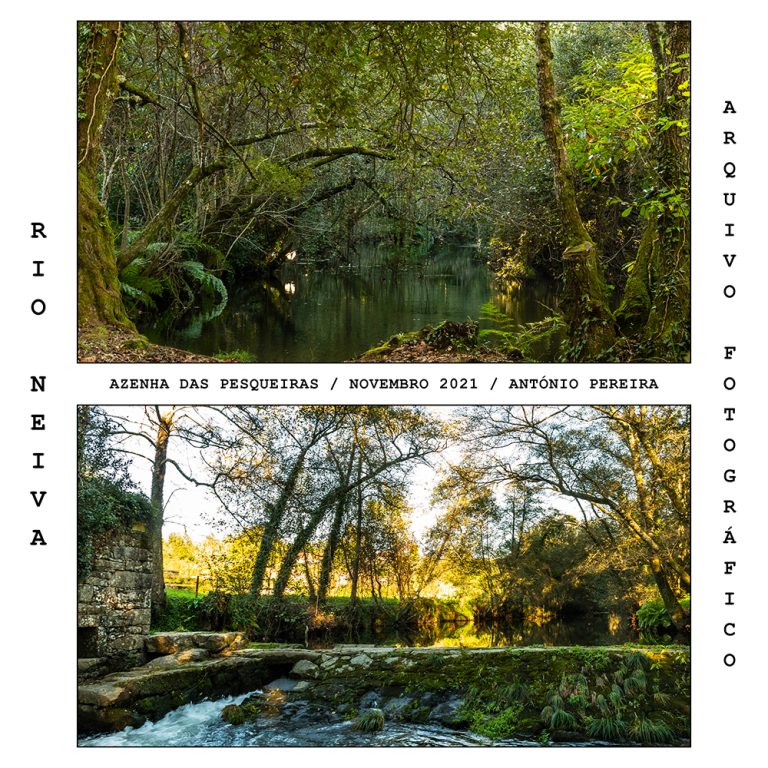 RIO_NEIVA_11_AZENHA_DAS_PESQUEIRAS_20211106