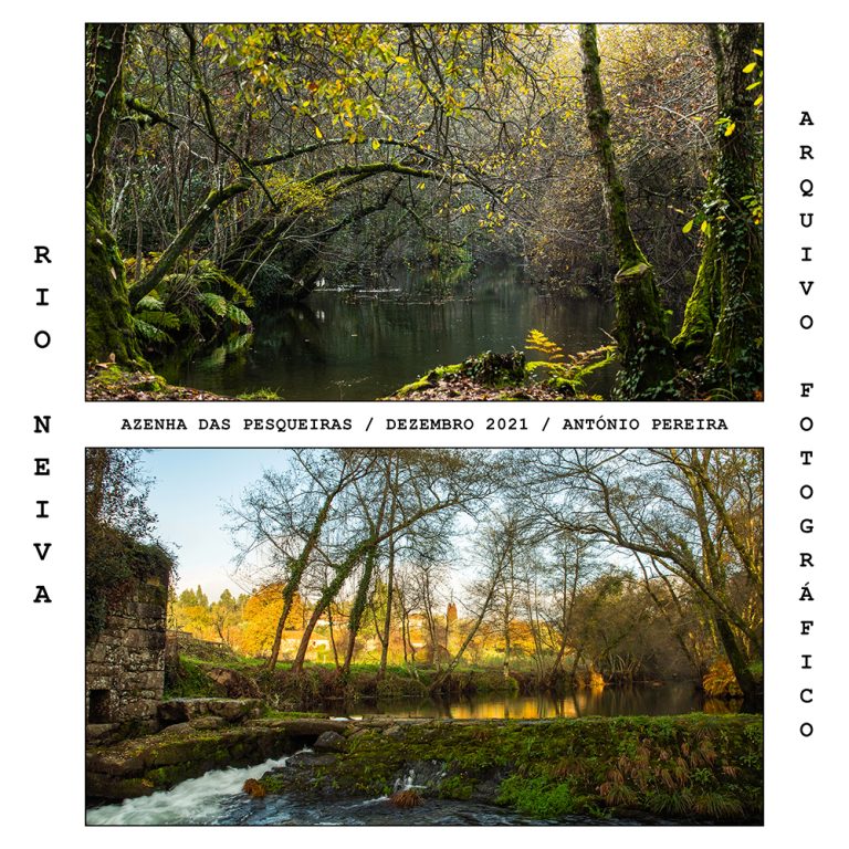 RIO_NEIVA_11_AZENHA_DAS_PESQUEIRAS_20211211
